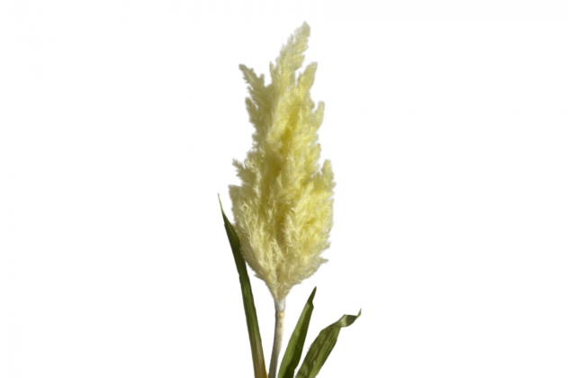 Konár pampasová tráva žltá 90cm - CTC75 