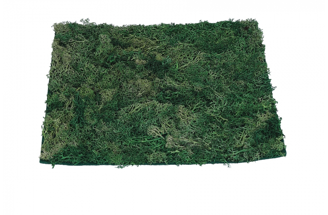 GRN290 Podlozka mach.25x25cm