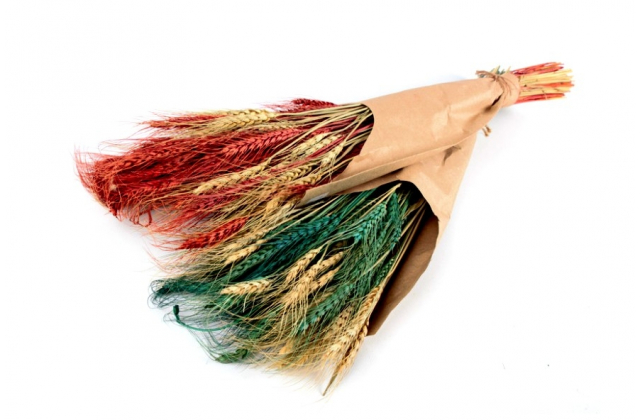 Su.TR003 (1bal.) Su.kytica klas zito