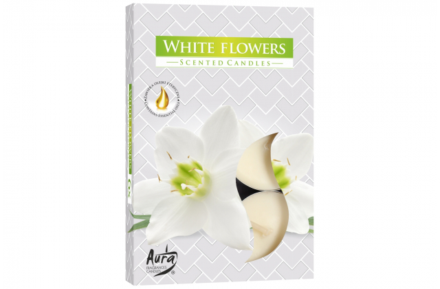 Vonné čajové sviečky (bal.6) P15-179 