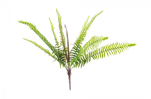 Umelá ťahačka papraď 