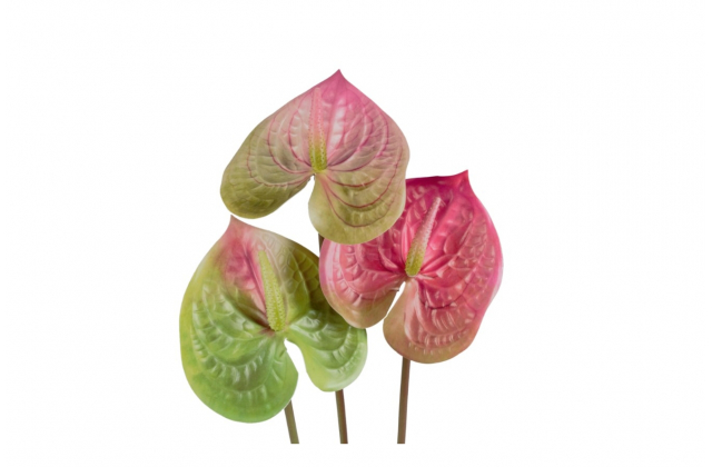 Umelá antúria na stopke