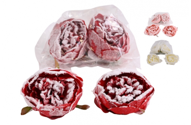 R.BV0631 (bal.4) Vian. pivónia zasnežená AKCIA