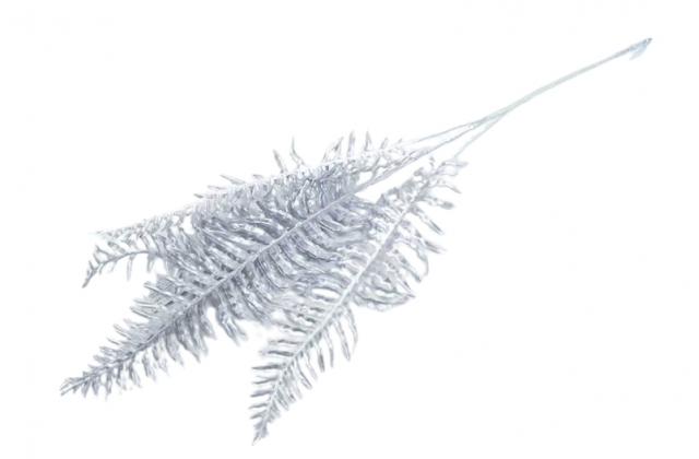 Konár papraď silver x 5