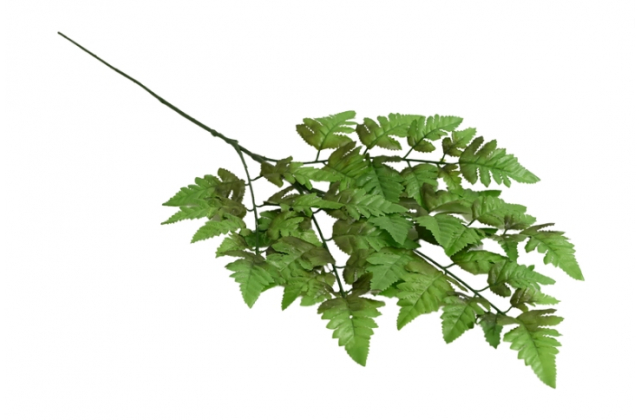 Konár Rumora x 3 CENA ZA KUS