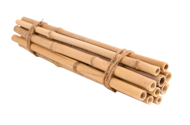 YW890B (1bal.) Bambus.tyc 40cm S/10