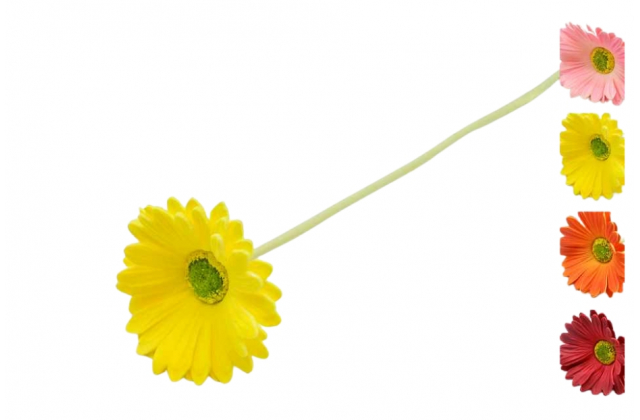 Umelá gerbera na stopke