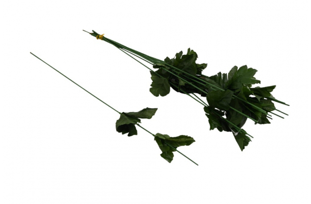 Stopky do chryzantémy