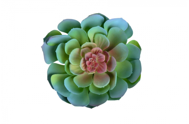 Umelý sukulent