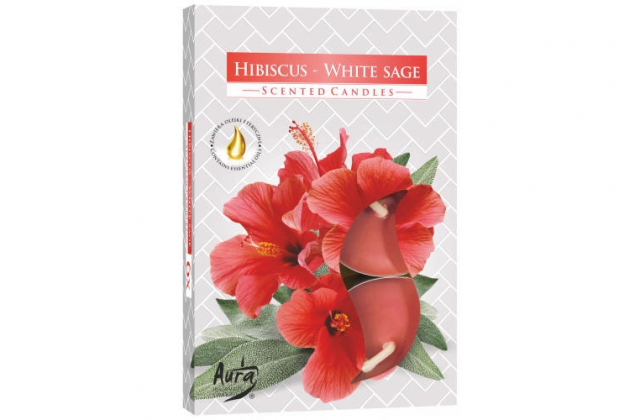 Vonné čajové sviečky (bal.6) P15-356 