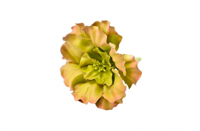 Umelý sukulent oranžový