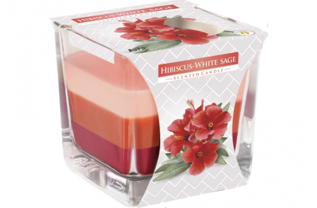 Sv.Sklo SNK80-356 Sviecka vonava 170gr/32hod. Hibiscus-White sage