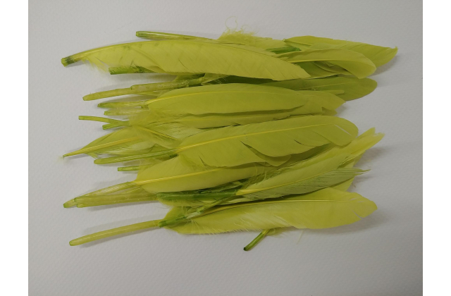 ZT-97696D/G (1bal.) Pierka S/100