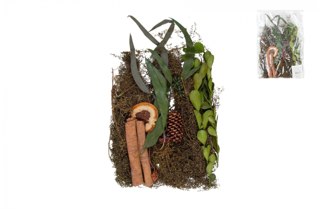 TG68842 (1bal.) Dekor.susina