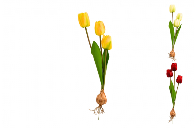 Umelý tulipán s cibuľkou