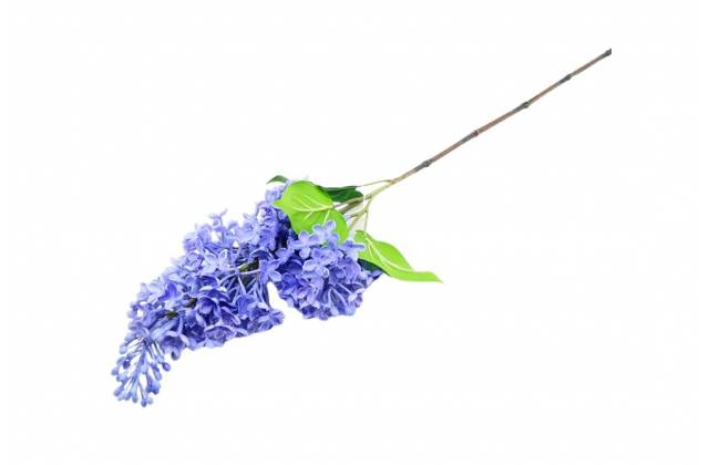 Umelý fialový orgován CV18664-3