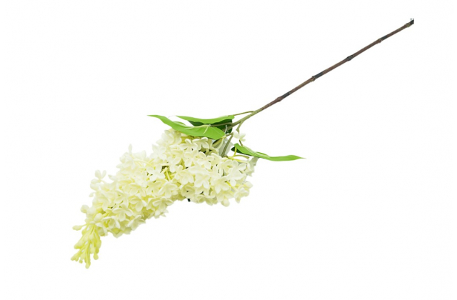 Umelý krémový orgován CV18664-1