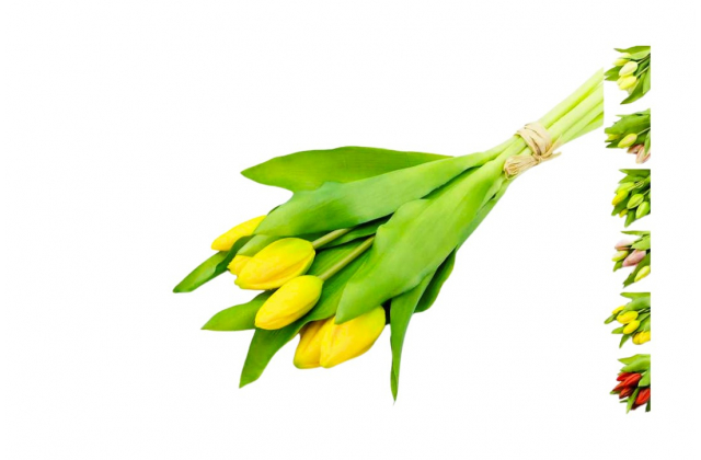 Umelá kytica pogumovaných tulipánov x 7