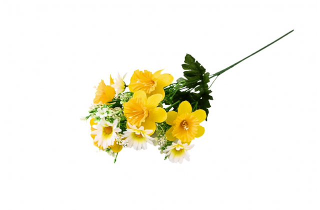 Konár narcis, margarétka x 5