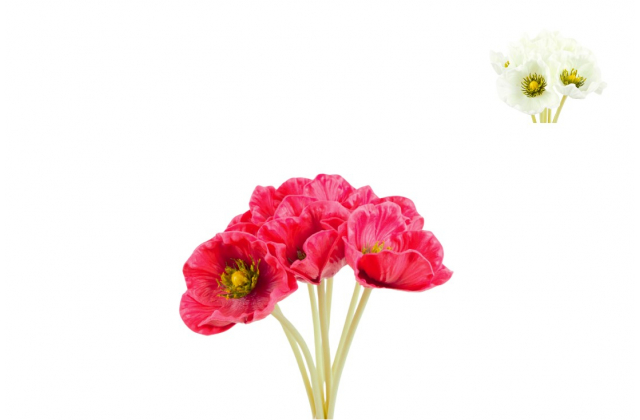 Kytica pogumovaného divého maku x7