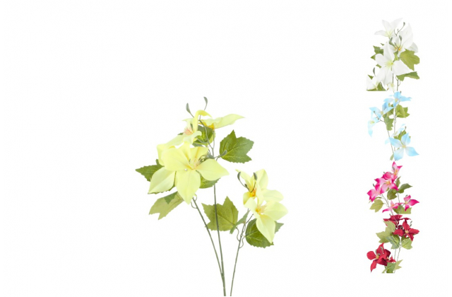 Konár plamienok (clematis) x 3