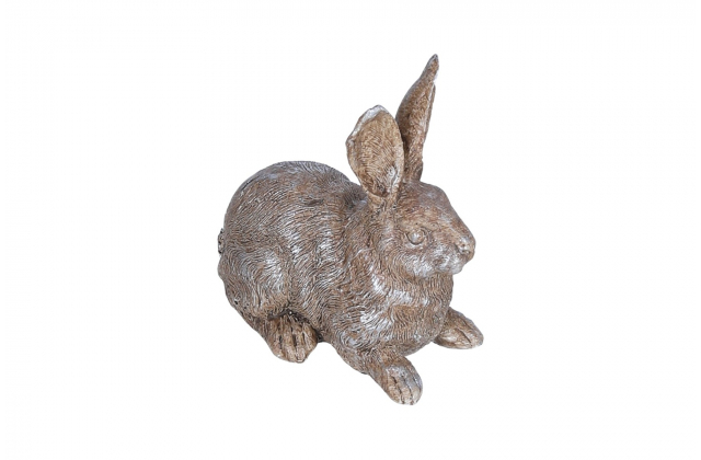 972477,2323420 ( 3 ) Zajac ker. SE340-1