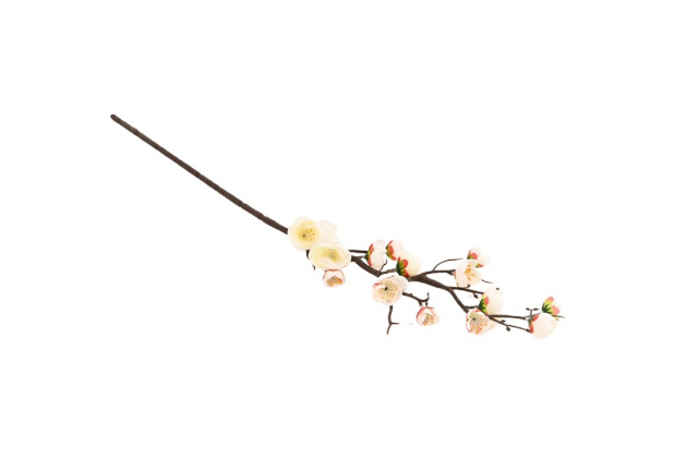 Konár čerešňový kvet