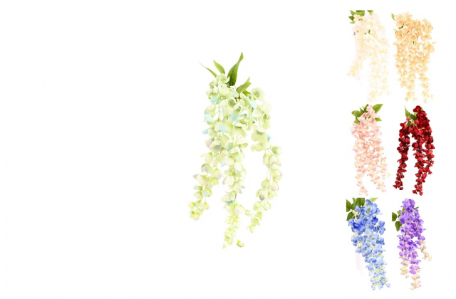 Konár vistéria x 3