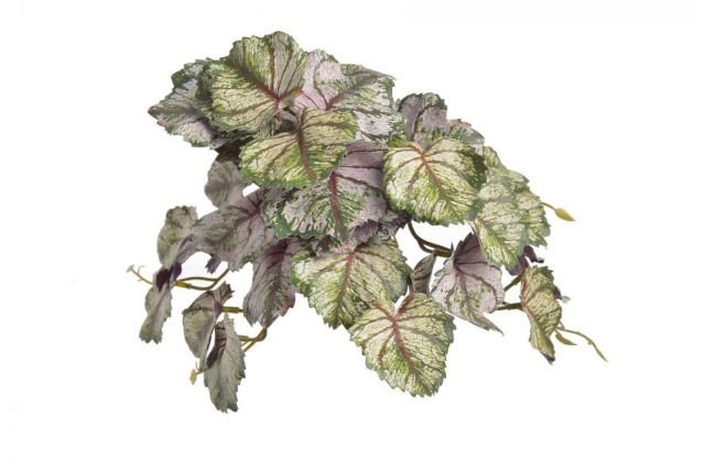 Umelý trs trávy - Saxifraga / Lomikameň 