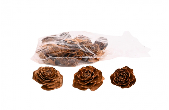 Dekoračná sušina rose (1bal.) 11254 NATUR