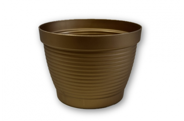 KV.Doniczka Agawa 20cm kveinac zlaty