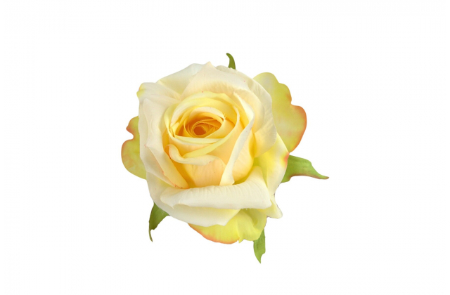 Umelé hlavy kvetov - vencovka ruža yellow A7359-3 