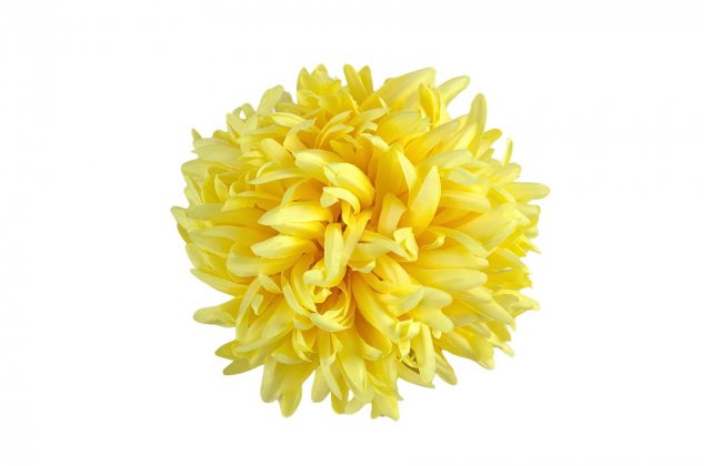  Umelé hlavy kvetov - vencovka Chryzantema A7375-4 