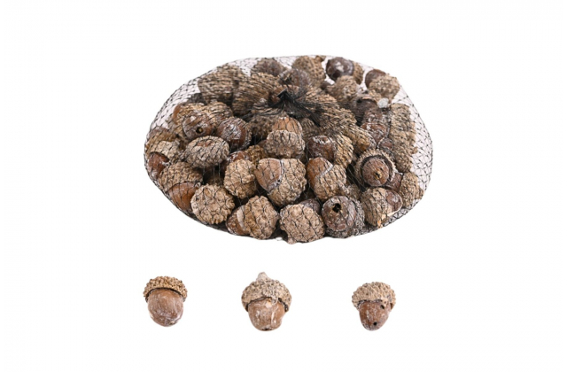 Dekoračné žalude (1bal.) JL055A