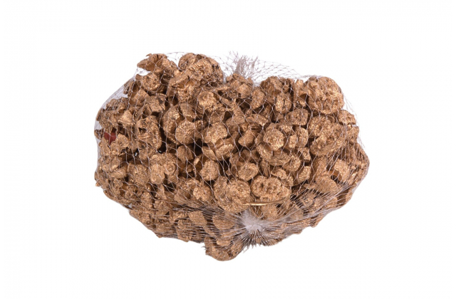 Sušené dekoračné plody zlaté (1bal.) WDA578 