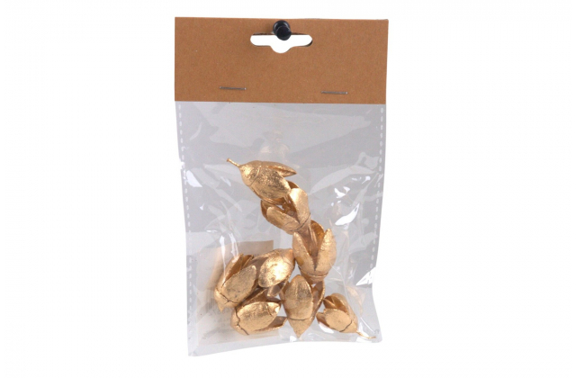 Sušené dekoračné plody zlaté (1bal.) CV34584