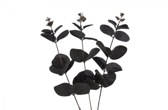 Konár eukalyptus x 3 čierny R070