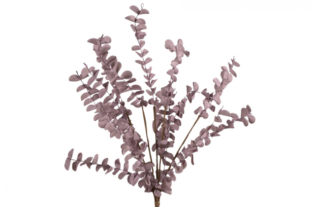 Konár penový eukalyptus fialový x 5 AMA694