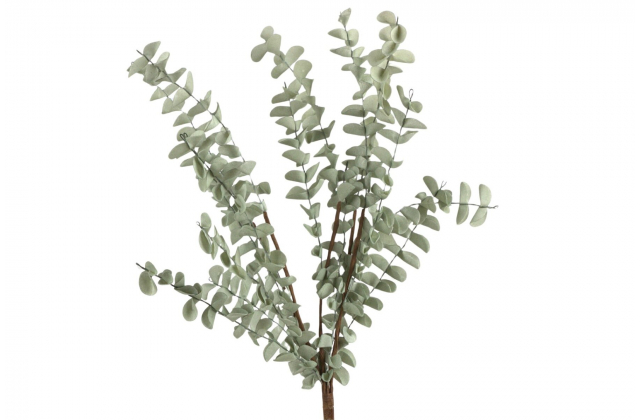 Konár penový eukalyptus zelený x 5 AMA691 