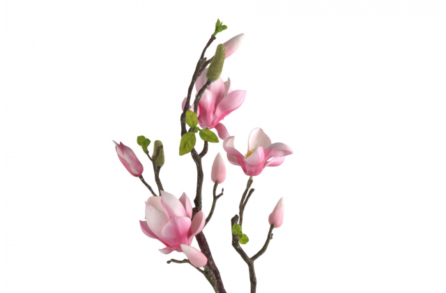 Umelý konár penová magnólia 24KW283-2