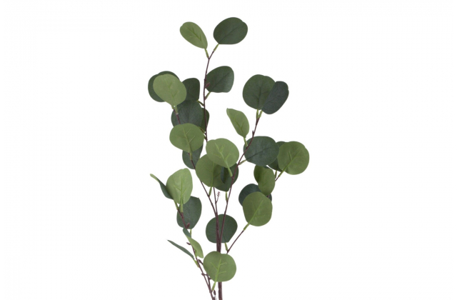 Konár eukalyptus 90cm KBG2471