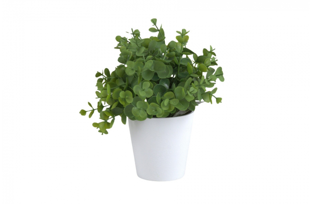 Umelý eukalyptus v kvetináči CV32776