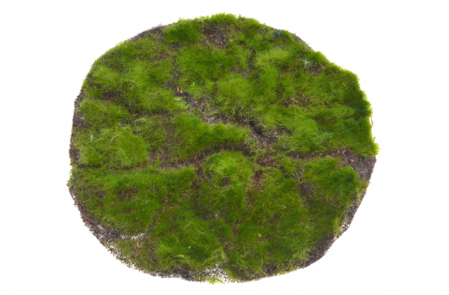 Umelá machová podložka 35 cm 271CAN90135