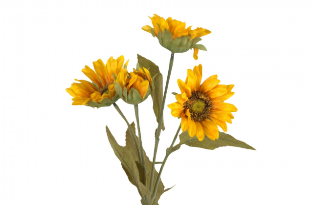 Konár slnečnica x 4 DY1-2717 