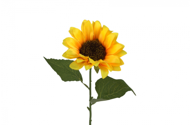 Rezaný kvet / konár slnečnica CV33385 