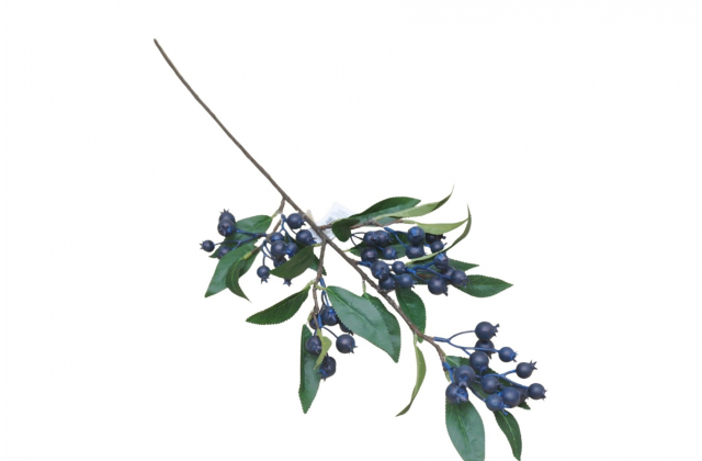 Konár bobule modré CV33275 