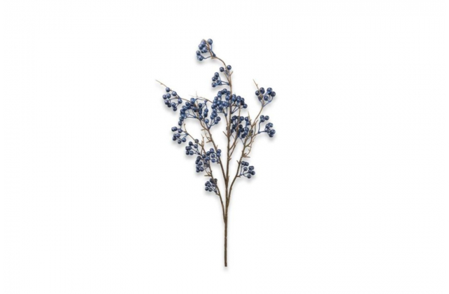 Konár bobule CV33277 