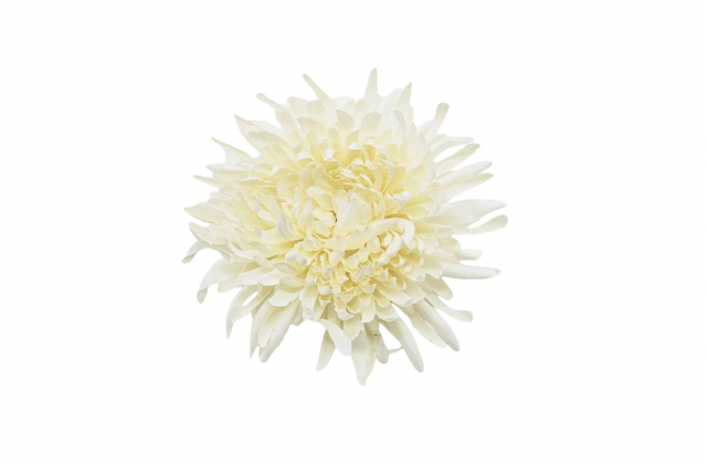 Umelé hlavy kvetov - vencovka Chryzantema - CV33521 (bal.12)