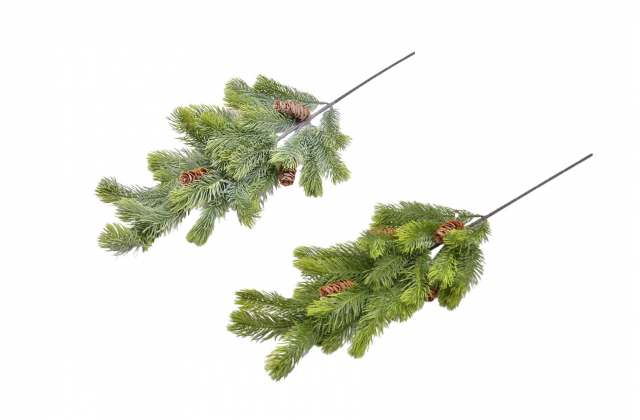 Umleý konár čačina, šišky CV20719 - MIX