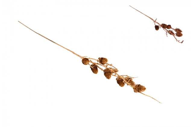  Umelý konár šišky metalický 70 cm CH181 -MIX